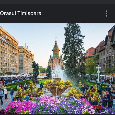 Apartament Lux Crialy - 75 M2 - Free Parking Timişoara Buitenkant foto