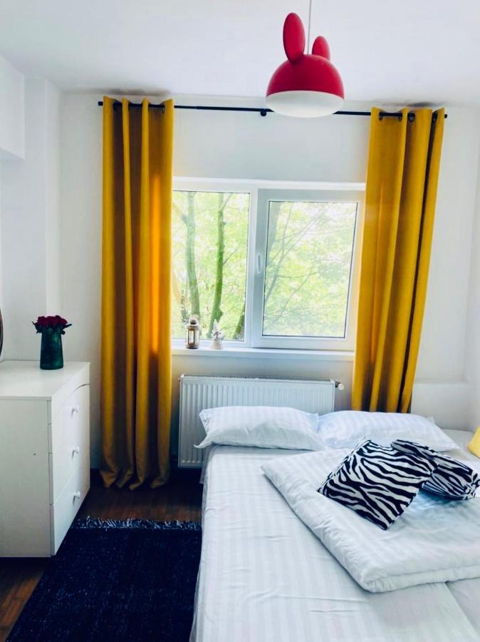 Apartament Lux Crialy - 75 M2 - Free Parking Timişoara Buitenkant foto