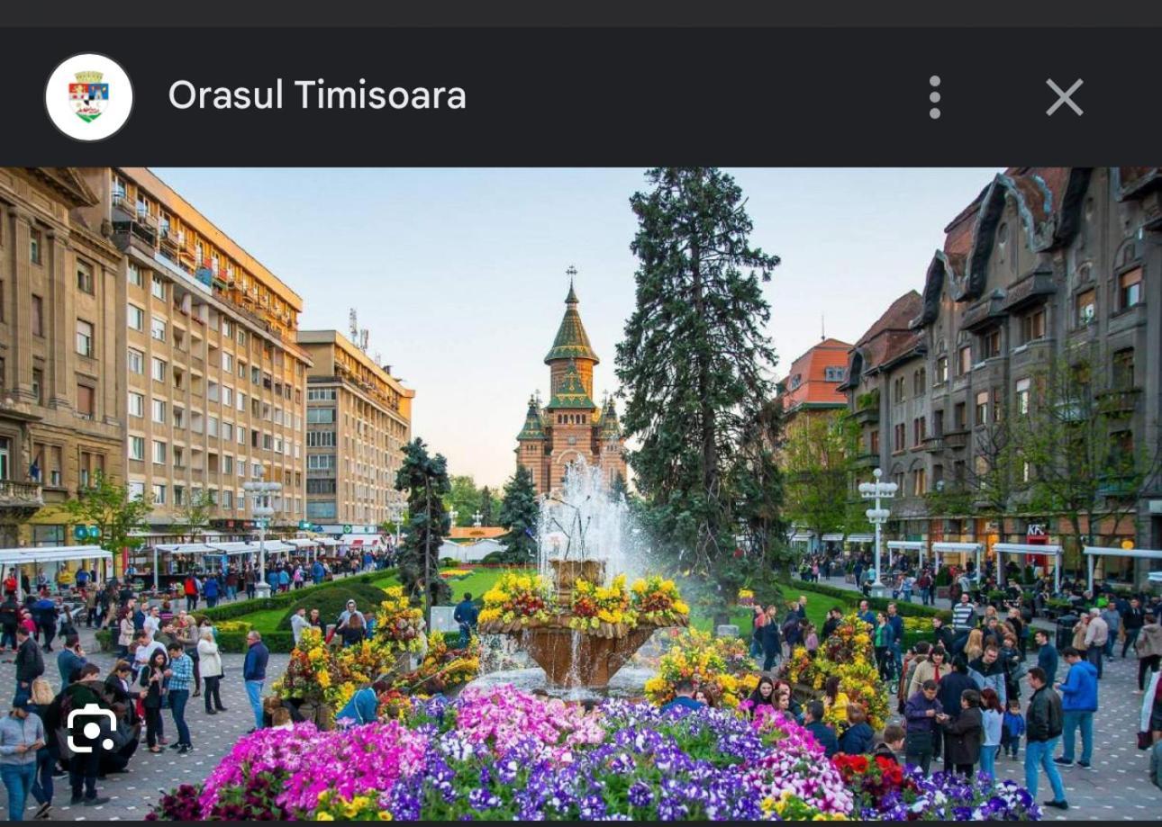 Apartament Lux Crialy - 75 M2 - Free Parking Timişoara Buitenkant foto