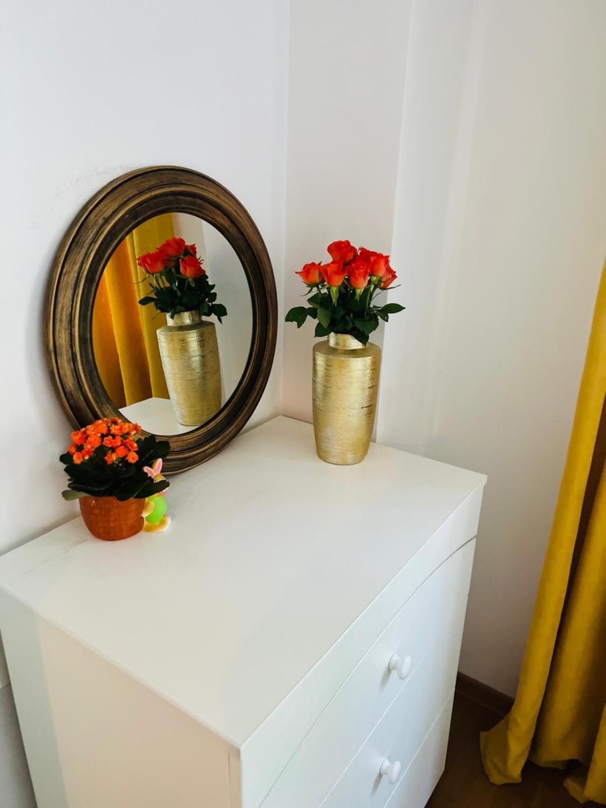 Apartament Lux Crialy - 75 M2 - Free Parking Timişoara Buitenkant foto